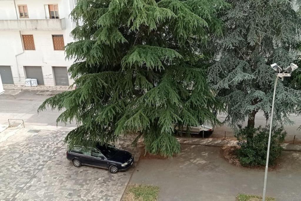 Appartamento Terrazza Bella Vista Cisternino Buitenkant foto